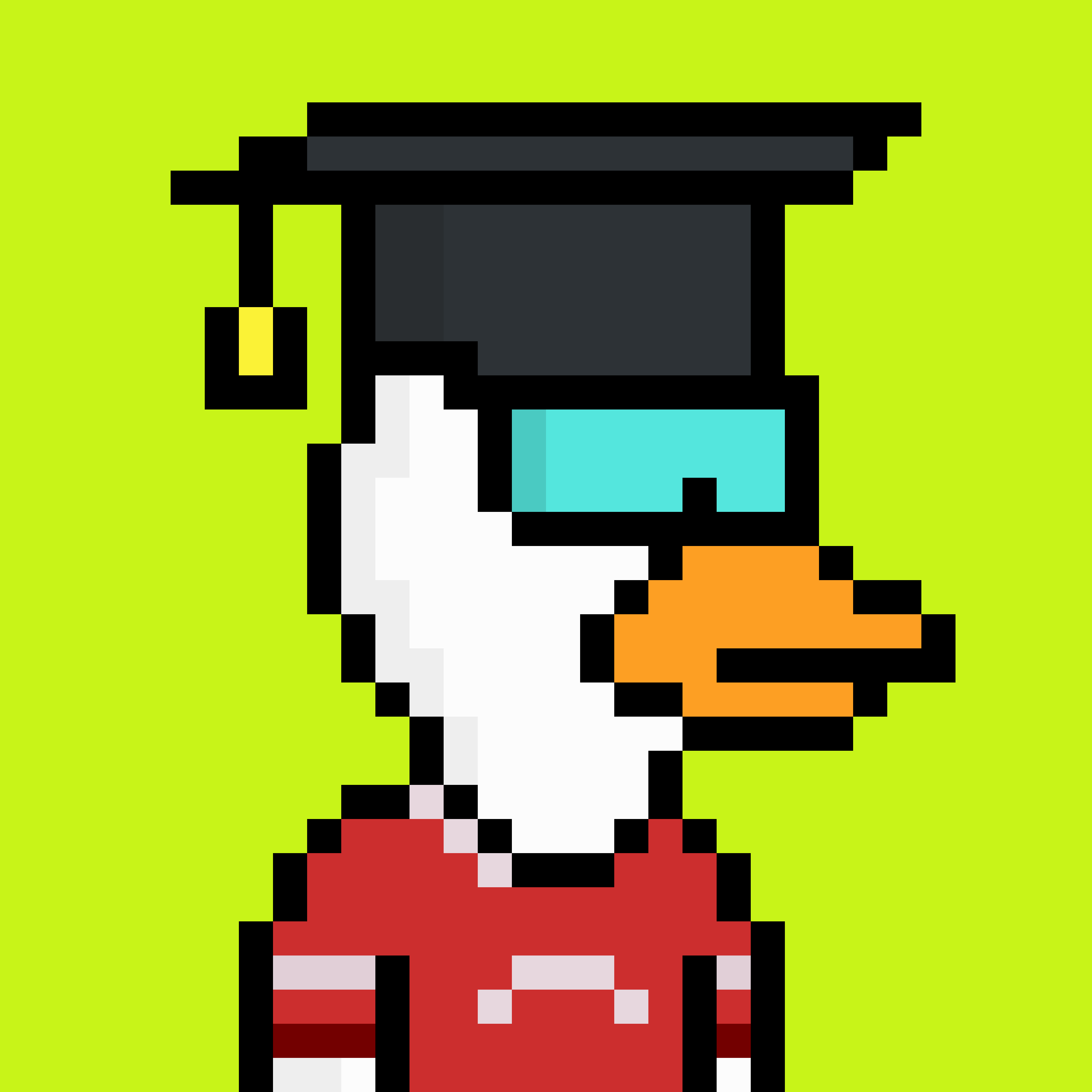 Ok Duck