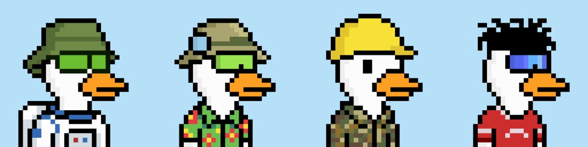 Ok Ducks Banner